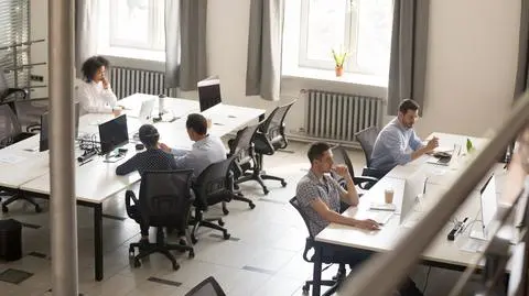 biuro, pracownicy, ludzie, praca