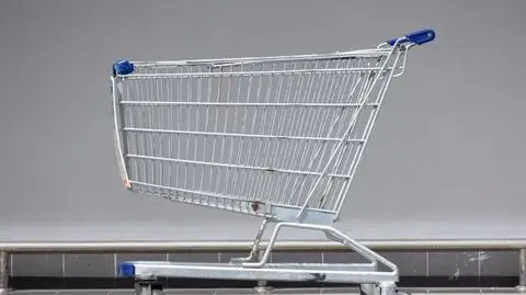 shutterstock_2477333441