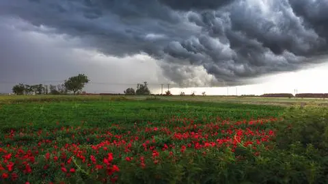Burza, chmury