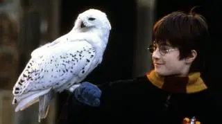 Pierwsze szczegóły obsady serialowego "Harry'ego Pottera"