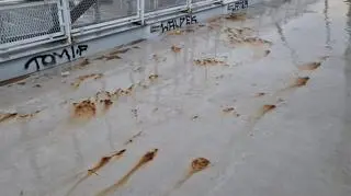 Kładka przez ulicę Wołoską 